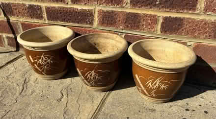 Photo of free Three plant pots (Cox Green SL6) #1