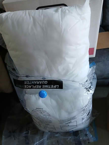 Photo of free Cushion inserts (Norton) #1