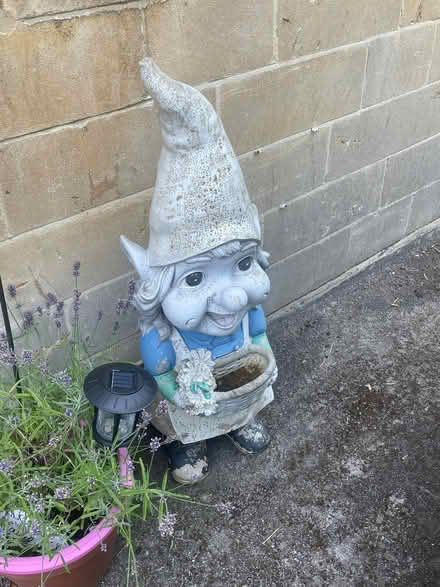 Photo of free Large heavy garden gnome (Southdown BA2) #1