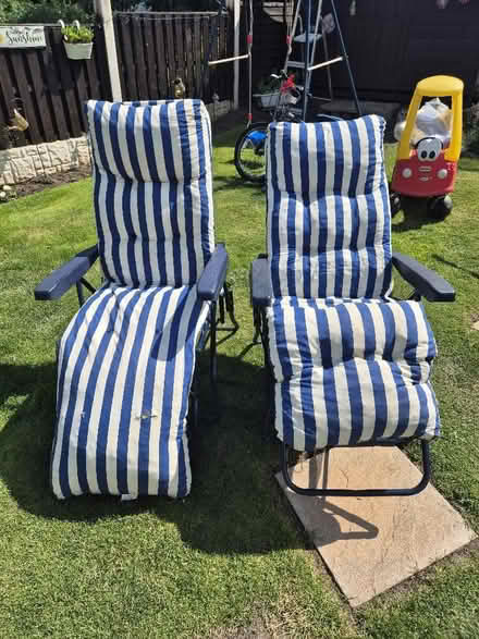Photo of free Garden Loungers (East Dene S65) #1