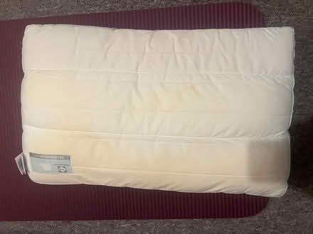 Photo of free Sealy Posturepedic Pillow (Richmond TW1) #3