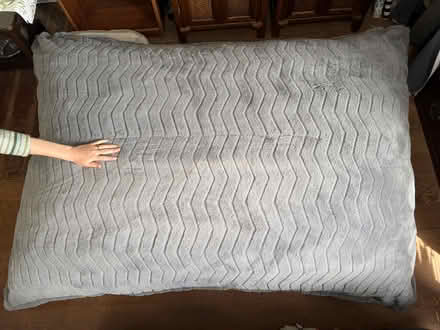 Photo of free large soft "pillow"/"chair" (Waimea town) #1