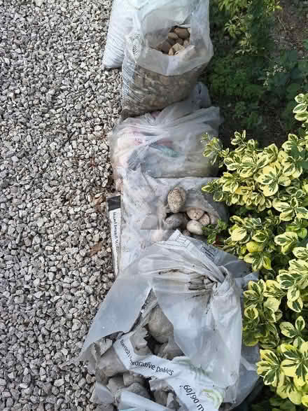 Photo of free Various sized pebbles (Brickhill MK41) #1