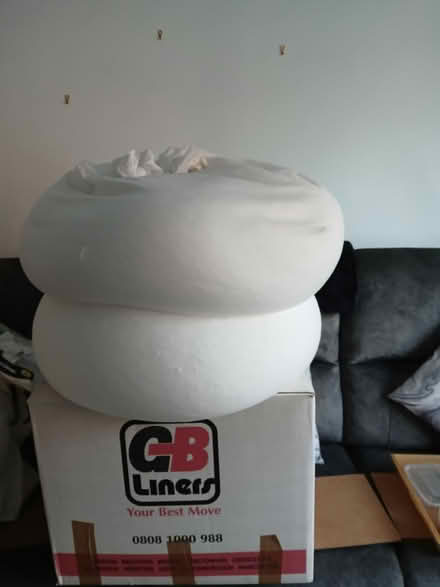 Photo of free Bean bag inserts (Norton) #1