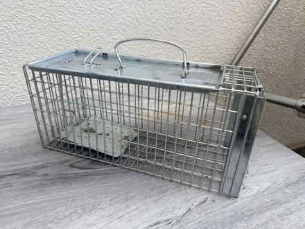 Photo of free Rat Trap (EN2) #1