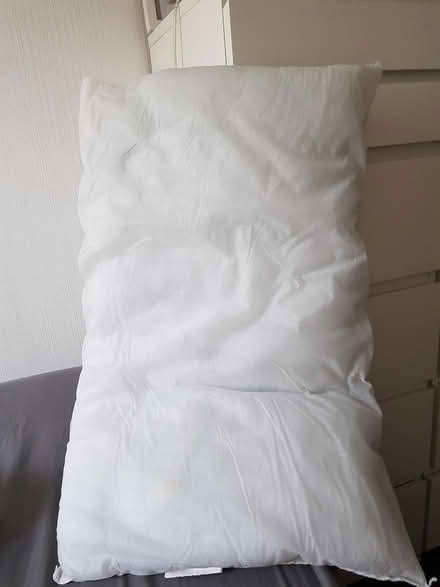 Photo of free Pillow (Ormskirk) #1