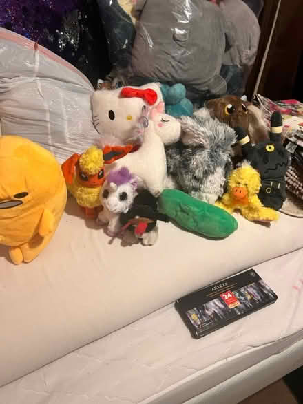 Photo of free 2 Bags of stuffed animals (Suisun) #4