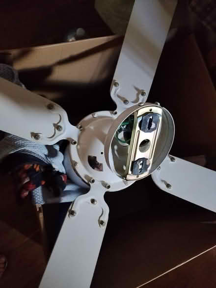 Photo of free Two Ceiling Fans (wellingborough NN8) #2