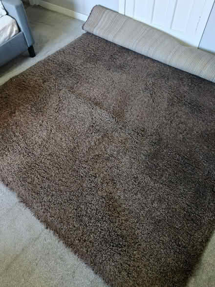 Photo of free Large brown shaggy rug (Carrick Knowe EH12) #1