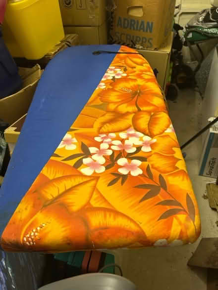 Photo of free Surf/body board (CT10) #1
