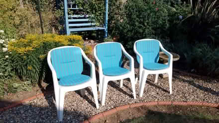 Photo of free Garden Chairs (Great Bircham PE31) #1