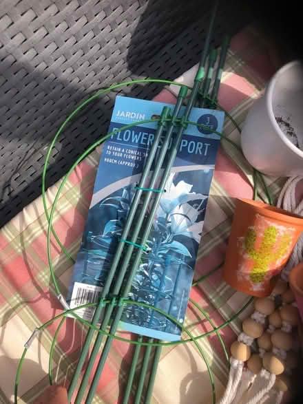 Photo of free Plant pots plant supports (Gracemount EH17) #4