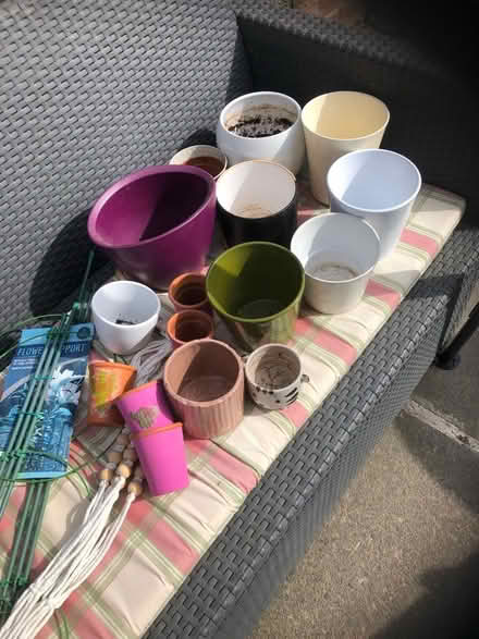 Photo of free Plant pots plant supports (Gracemount EH17) #1