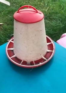 Photo of free chicken feeder (Liverpool) #2