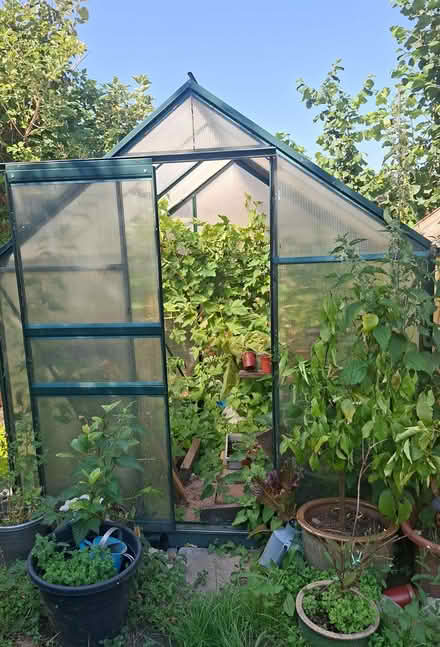 Photo of free 2 aluminium greenhouse frames (Oswestry SY11) #2