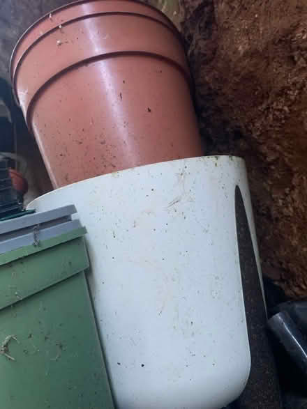 Photo of free plant pots galore (Blagdon BS40) #4