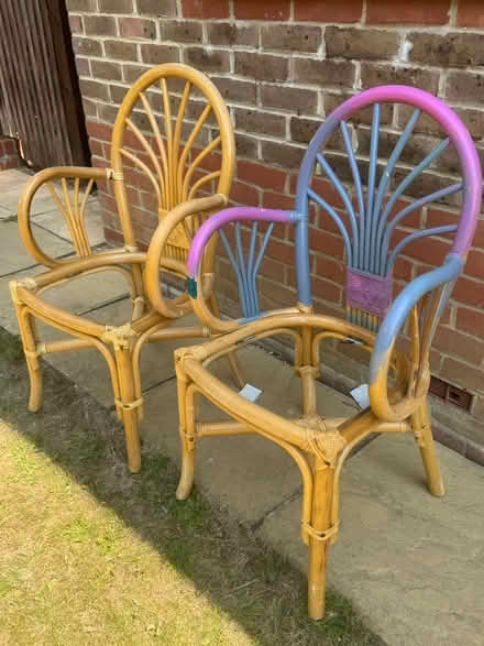 Photo of free Bamboo chair frames (Goffs oak EN7) #2