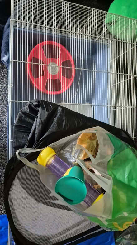 Photo of free Large cage (Hoole CH2) #4
