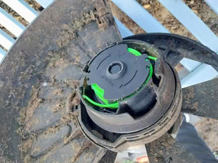 Photo of free Grass trimmer/ whipper snipper (Clovelly, NSW, 2031) #1