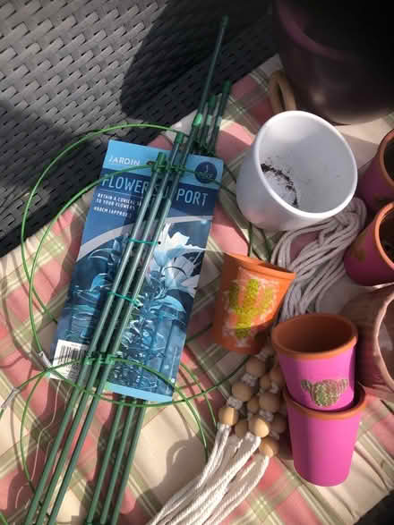 Photo of free Plant pots plant supports (Gracemount EH17) #3