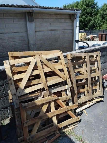 Photo of free Pallets/wood (TR14) #2