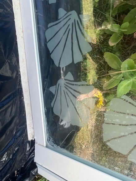 Photo of free Shower screen (Sonning RG4) #3