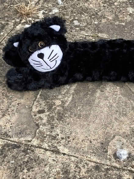 Photo of free Cat draught excluder (Guildford, SW, GU2) #2