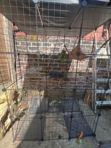 Photo of free large animal cages for indoor pets (Chorlton M21) #1