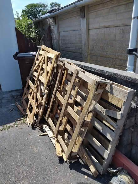 Photo of free Pallets/wood (TR14) #1