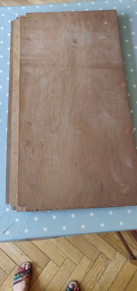 Photo of free Strong plywood shelves (Eastbourne BN22) #1