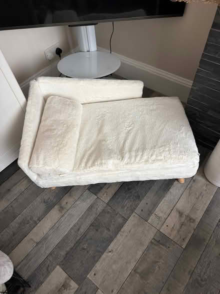 Photo of free Blue poufee lounger chair dog cage dog beds (Ravenscourt Park W6) #3