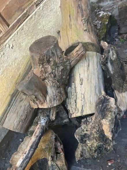 Photo of free Fire log (Chorlton M21) #2