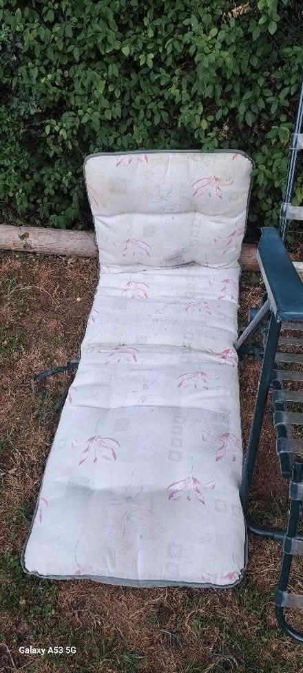 Photo of free Reclining sun lounger chairs x2 and cushion cover x1 (Wigginton OX15) #3