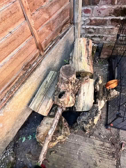 Photo of free Fire log (Chorlton M21) #1