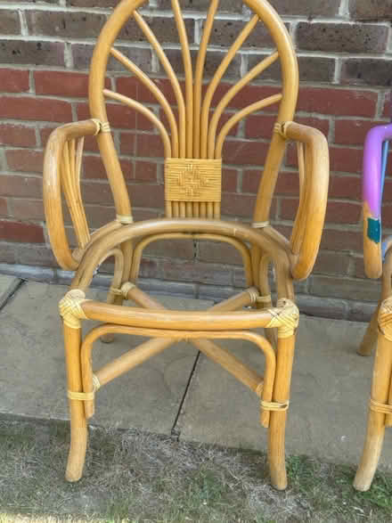 Photo of free Bamboo chair frames (Goffs oak EN7) #3