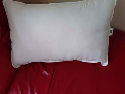 Photo of free Extra-thick Pillow (Glyne Gap TN40) #1