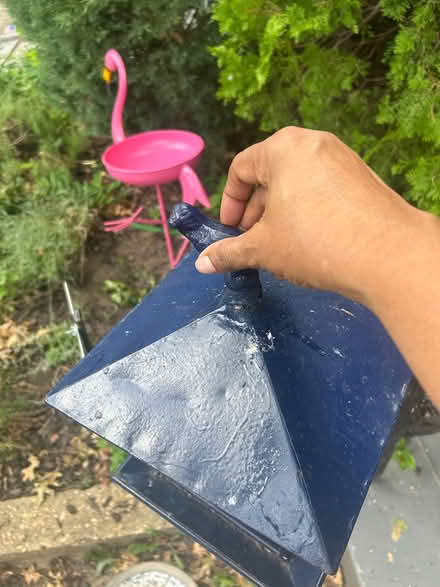 Photo of free Blue Bird feeder (Petworth) #3