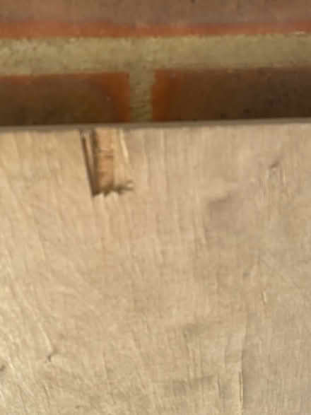 Photo of free large plywood (St Albans AL1, nr Marshalswick) #2