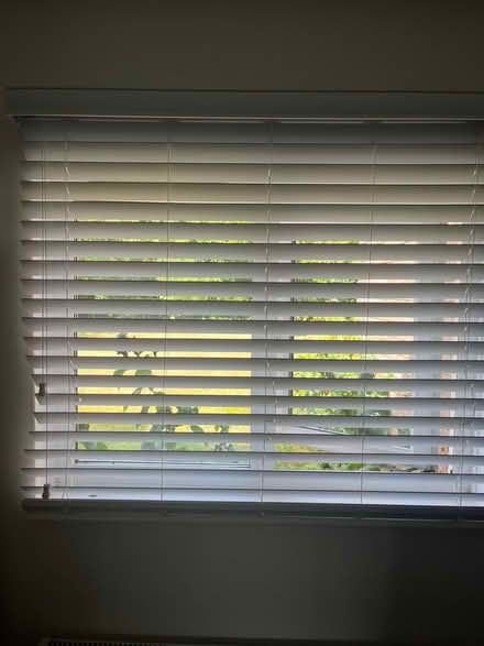 Photo of free White blinds (Marshalswick AL4) #1
