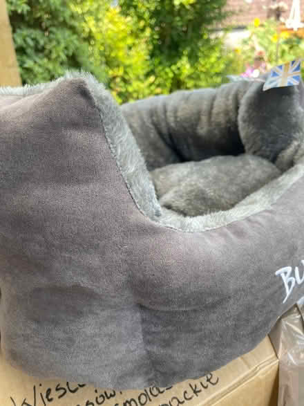 Photo of free Cat bed (IP2) #2