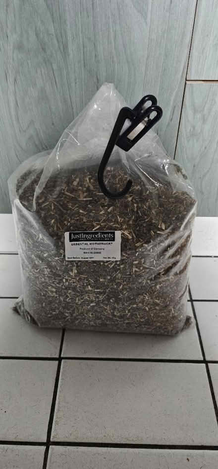 Photo of free Motherwort (Altrincham WA14) #1