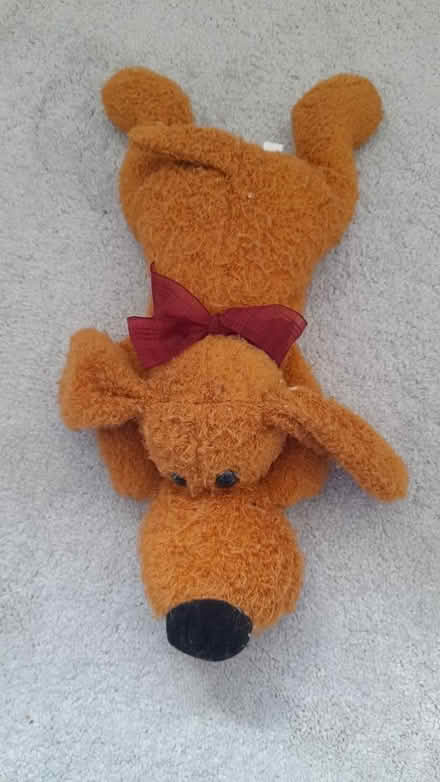 Photo of free Soft toy (Longton PR4) #1