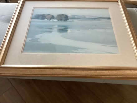 Photo of free Art (Horsey Hill NE34) #3