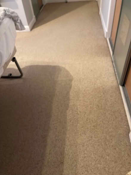Photo of free Bedroom carpet oatmeal 13ftx10ft & extra in window & doorway (Wallyford EH21) #2