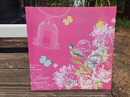Photo of free Pink Bird / Cage canvas (Havant PO9 3NY) #1