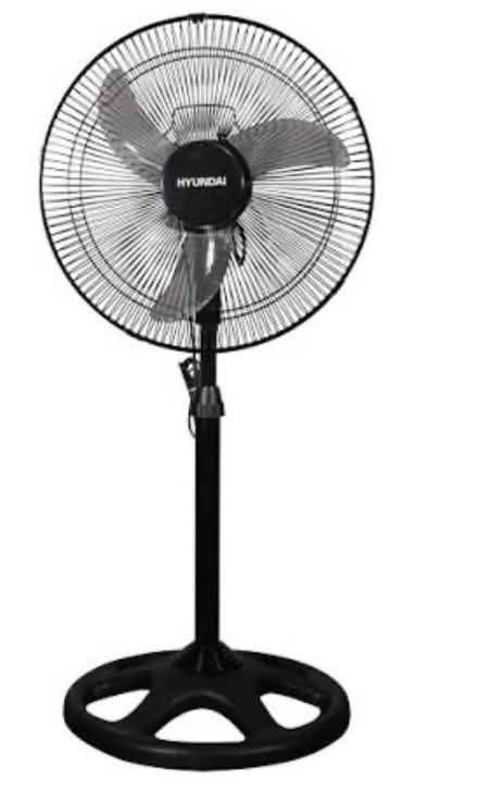 Photo of Fan (Wandsworth SW18) #1