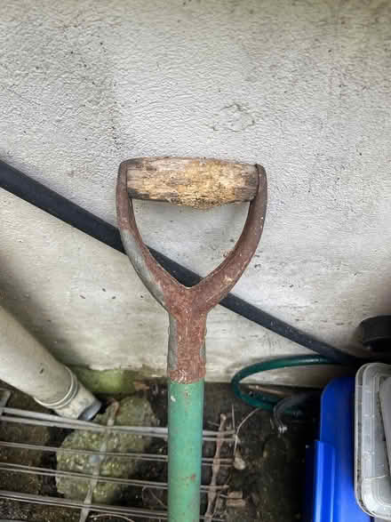 Photo of free Shovel woodwormy handle (Finsbury Park N4) #3