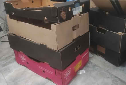 Photo of free Cardboard tray boxes (Loughton IG10) #1