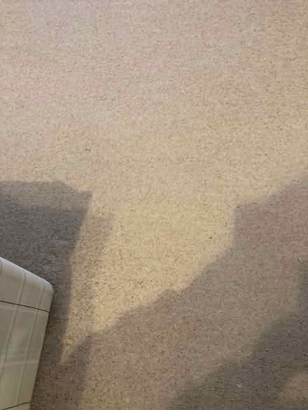 Photo of free Bedroom carpet oatmeal 13ftx10ft & extra in window & doorway (Wallyford EH21) #4