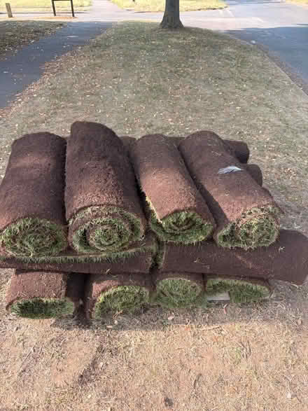 Photo of free Turf (SG3) #2